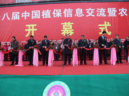 技術(shù)推廣服務(wù)中心的多元發(fā)展路徑與模式創(chuàng)新