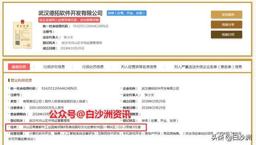 白沙洲青菱建群村軟件園項目正式啟動，總投資7.1億元打造計算機軟件研發(fā)新高地